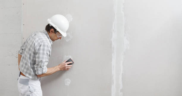 Best Drywall Texturing  in Vandalia, OH