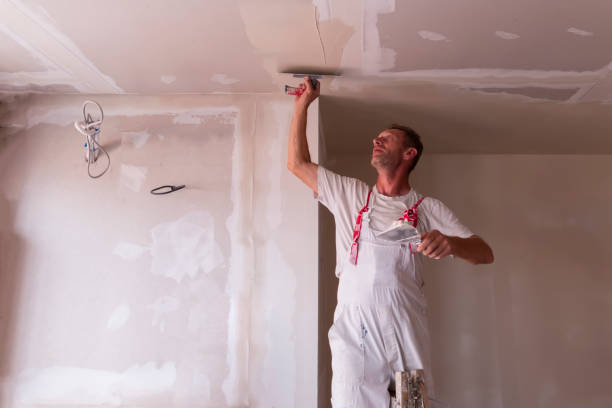 Best Drywall Removal and Disposal  in Vandalia, OH